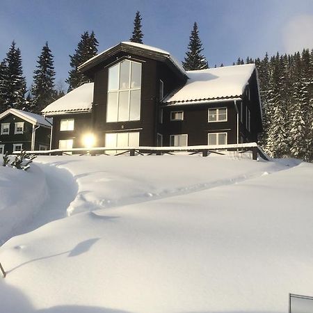 Villa Edvinsvaeg 8 オーレ エクステリア 写真