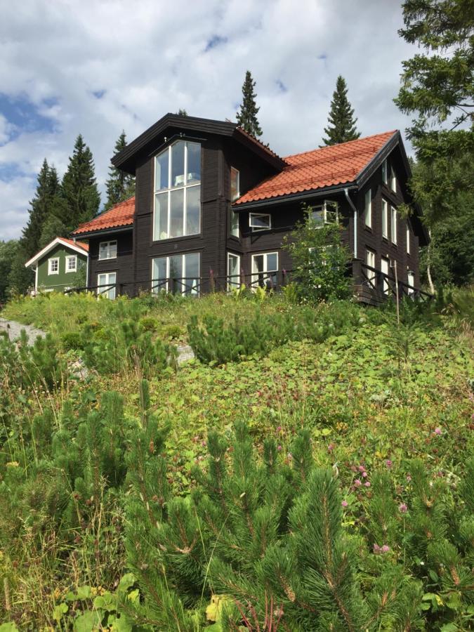 Villa Edvinsvaeg 8 オーレ エクステリア 写真
