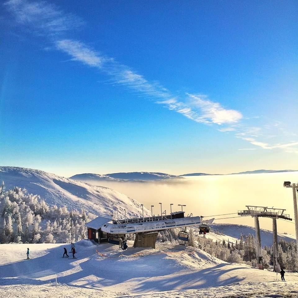 Villa Edvinsvaeg 8 オーレ エクステリア 写真