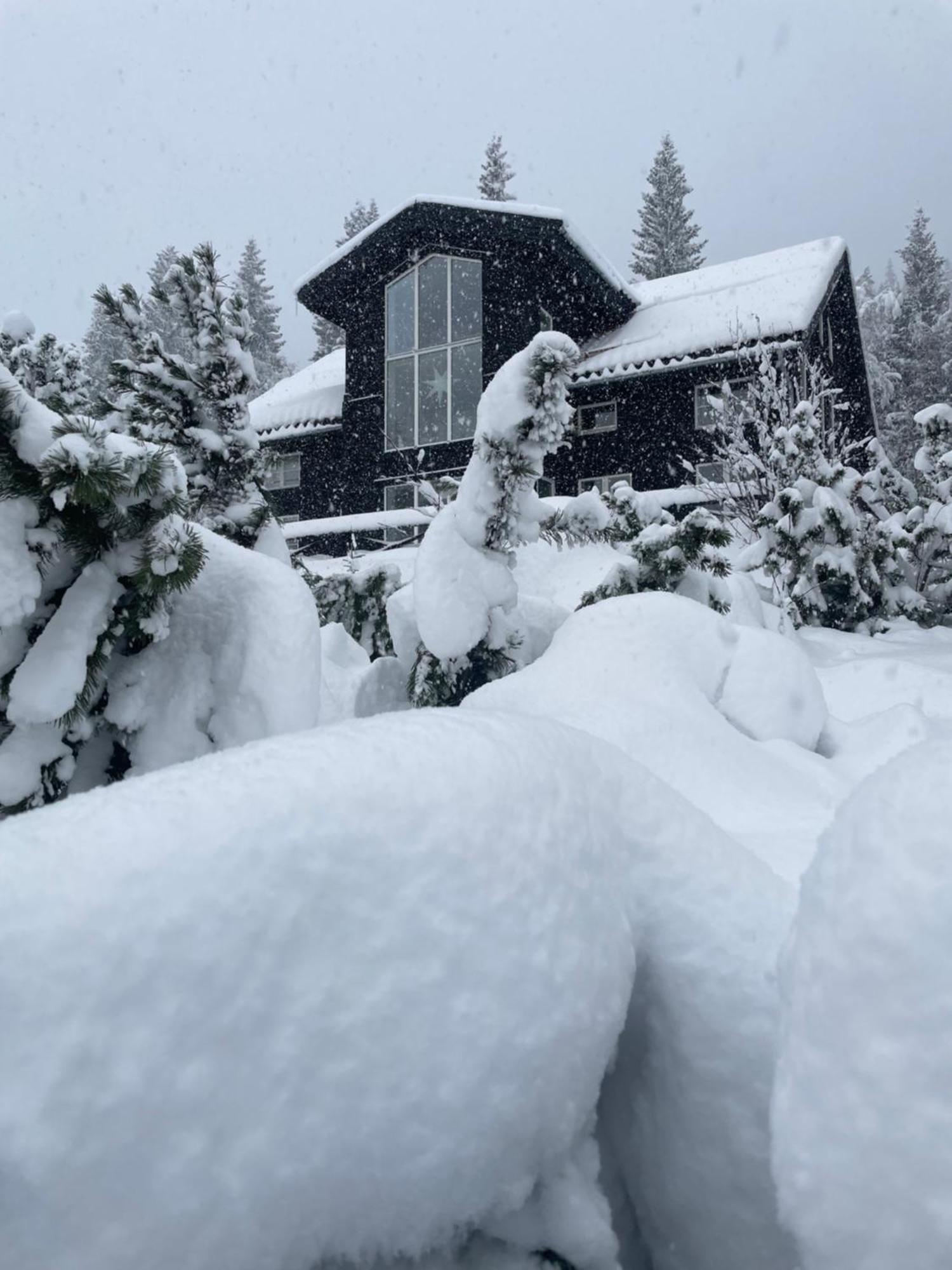 Villa Edvinsvaeg 8 オーレ エクステリア 写真