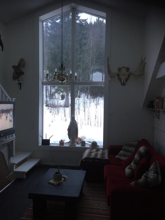 Villa Edvinsvaeg 8 オーレ エクステリア 写真