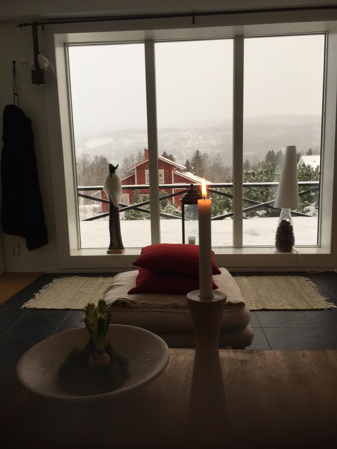 Villa Edvinsvaeg 8 オーレ エクステリア 写真